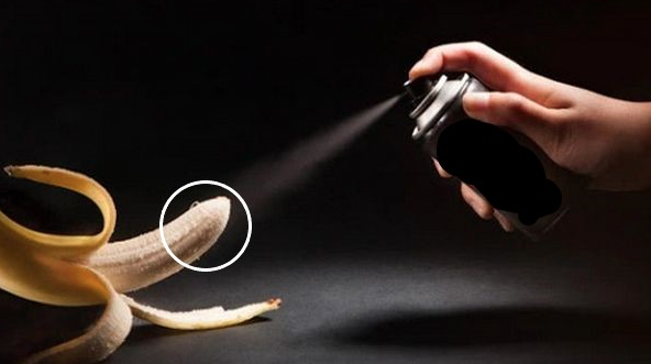 Chai Xịt Bổ Hoàn Dương Super BHD (5ml) - Ảnh 3