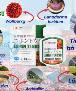Thanh phan cua vien uong Tengsu cua Nhat Ban