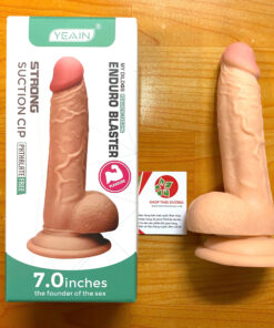 sextoi2