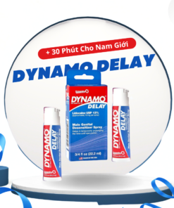 xit dynamo delay ho tro kiem soat thoi gian.jpg 1