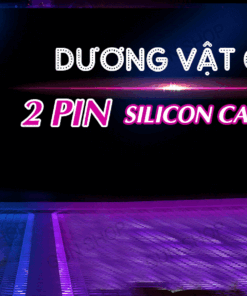 Dương vật giả silicon 2 pin Baile chất lượng tốt giá ưu đãi