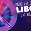 Shop bán Dương vật giả có cánh bướm ngoài 8 tần số rung sạc điện - Libo  loại tốt